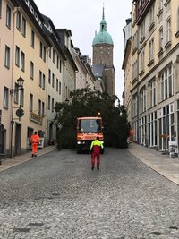 Der Weihnachtsbaum wird die Große Kirchgasse hinunter transportiert.