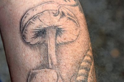 Ein Pilz-Tattoo zeugt von Jörg Oehmes Leidenschaft.