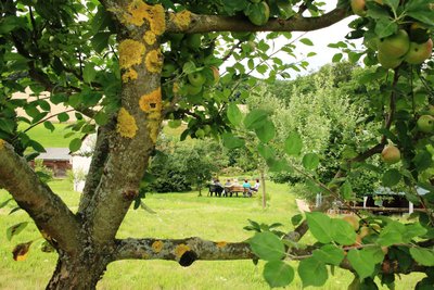 Ein Päuschen mitten im Grünen und der Austausch mit anderen Gartenfreunden machen den Tag der offenen Gärten immer zu etwas Besonderem.
