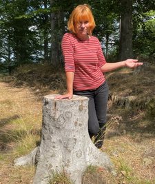 Baumstümpfe wie diesen wollten die Teilnehmer eines Kurses von Lydia Schönberg im Schwarzenberger Ottenstein-Park kreativ gestalten. Doch die Zerstörungswut Unbekannter lähme die Motivation, sagt die Künstlerin.Dennoch soll es weitergehen. 