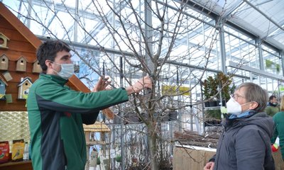 Marion Schröter aus Neuhausen (rechts) ist selbst gelernte Gärtnerin, hat sich im Berufsleben aber mehr mit Zierpflanzen befasst. Beim Obsttag der Baumschule Freiberg ließ sie sich von Baumschulgärtner Bert Trautmann zeigen, wie Obstbäume im Frühjahr geschnitten werden.