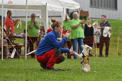 Knödel, der kleinste Hund vom ASB Rettungshundezug, bekommt nach erfolgreicher Personensuche eine Belohnung von Hundeführerin Luise.