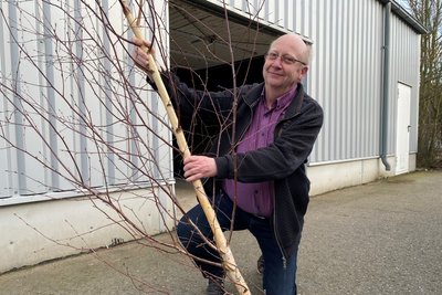 Die kleinen Birken wurden beim Technologiepark in Mittweida abgesägt. Frank Winkler hat sie ein paar Tage dort in einer Garage gelagert.
