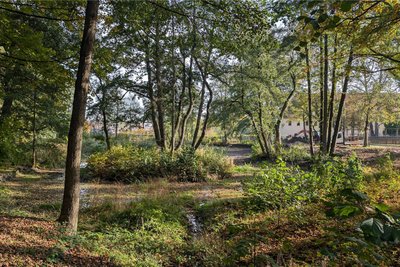 Das Wasser der Pferdeschwemme im Tierpark Freiberg ist kaum zu sehen. Der Teich soll saniert werden.