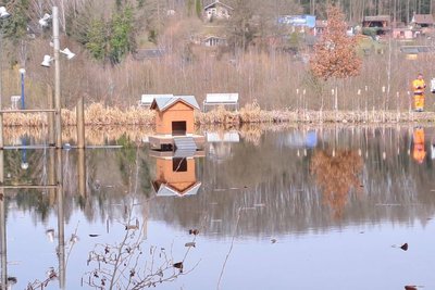 Eines der neuen Entenhäuser im Kurpark von Bad Schlema.