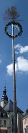 Maibaum in Zschopau: ein verdorrtes, zerzaustes Bäumchen auf einem grauen Mast.