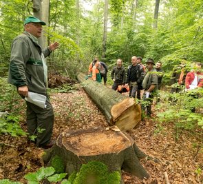 In seinem Hirschberger Revier zeigte Thomas Baader (l.) anschaulich, wie Mischbaumwälder erhalten und zugleich Wertholz im Zuge der erfolgreichen Bewirtschaftung des Waldes erzeugt werden kann. 