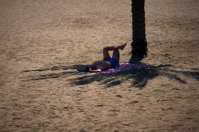 Die Hitzewelle hat Experten zufolge dazu geführt, dass zahlreiche Temperaturrekorde für den Mai gebrochen worden seien. (Archivbild)