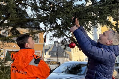 Am Ende jedes Einsatzes wird an dem vermessenen und bewerteten Baum – wie hier von Julian Rielemann und Alexander Neumeister (v. l.) – eine Weihnachtskugel gehängt.