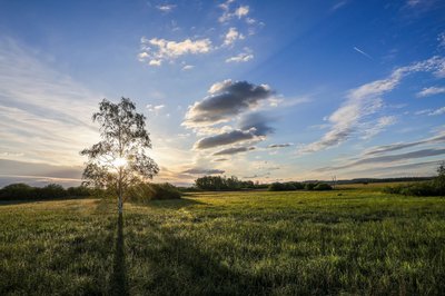 Gerade im Süden Deutschlands zeigt sich die Sonne schon zum Wochenstart.