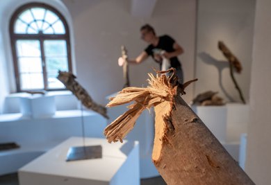 Beinahe Kunst: Von Bibern angenagte Holzstücke werden von dem Künstlerduo Anne Peschken und Marek Pisarsky unter dem Titel "Biber und Holzgriebsche" präsentiert.