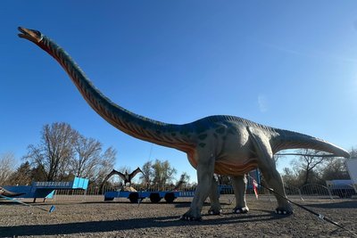Ab Freitag sind die Dinos in Bad Schlema an der Marktpassage los.