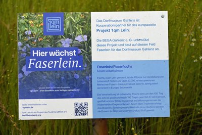Vom Saatkorn zum fertigen Leinentextil heißt eine bundesweite Initiative traditioneller Landwirtschaft. Das Dorfmuseum Gahlenz ist ein Kooperationspartner.