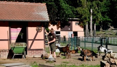 Die Freiwilligendienstleistende Carla Tennler reinigt die Anlage für dieZiegen. Dieser Bereich soll einer des neuen Inkalandes im Amerika-Tierpark von Limbach-Oberfrohna werden. 