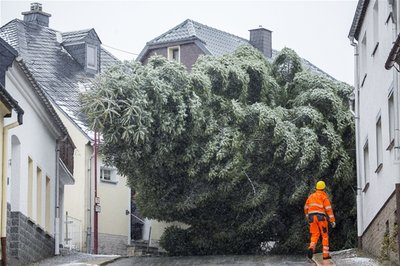 Der Baum wird durch die engen Gassen von Buchholz "gefädelt".