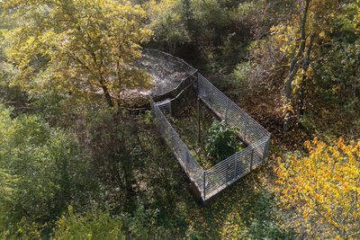 Bereits 2024 war der Plauener Pfaffengutverein durch die Bürgerstiftung Plauen gefördert worden. Damals gab es finanzielle Unterstützung für die Erweiterung des Wildkatzengeheges.