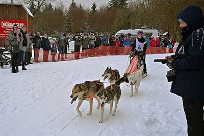 Nach etwa 30 Minuten passierten die Gespanne die Ziellinie des rund 8,5 Kilometer langen Trails, wo die Rennzeit dokumentiert wurde.