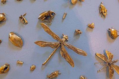 Unter dem Titel "Everything will be fine" zeigt die Künstlerin Verena Bachl eine Sammlung von 500 mit Gold überzogenen Insekten. 