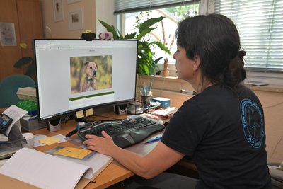 Tierheimchefin Claudia Ruf ist Realistin. Sie weiß, dass manche Hunde für immer im Tierheim bleiben. Trotzdem betont sie, dass Jacko vermittelt werden kann.