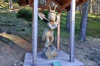 Auf dem Ameisenweg im Zinsbachtal bei Morgenröthe-Rautenkranz.