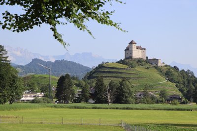 Die Burg Gutenberg thront auf einem Rebhügel in Balzers.