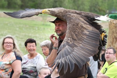 Seeadler "Mat" und Hans-Peter Herrmann von der Falknerei Herrmann in Plauen.