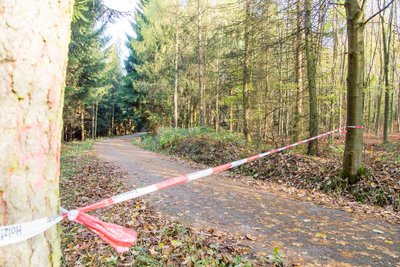 Nach dem Sturm sind im Erzgebirge Waldwege gesperrt.