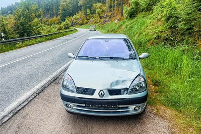 Bei dem Unfall mit einem Reh ist dieses Fahrzeug beschädigt worden. 