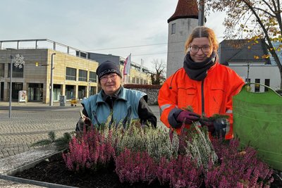 Am Küttler-Platz bereiteten Stadtgärtnerinnen Ulrike Lang (li.) und Lara Könitzer Pflanzkübel auf den Winter vor.