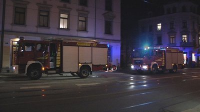 Die Berufsfeuerwehr Zwickau konnte das Feuer schnell löschen.