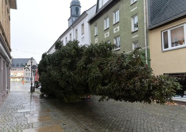 Am Montag wurde der Weihnachtsbaum zum Stollberger Markt gebracht.