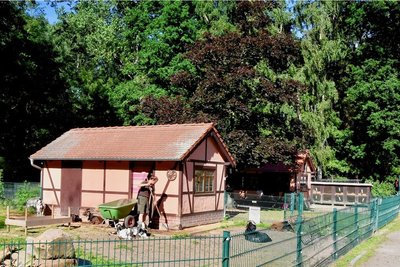 In diesem Bereich des Limbach-Oberfrohnaer Tierparks sollen in diesem Monat Bauarbeiten beginnen. Ziel des Vorhabens ist, ein sogenanntes Inkaland zu schaffen. Das wird allerdings teurer als geplant.