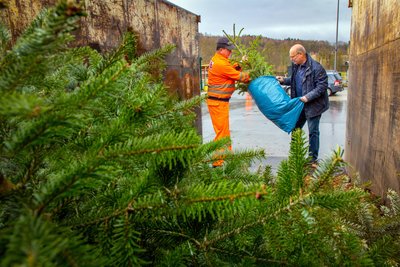 Und in acht Wochen ist der Zauber wieder vorbei und die Weihnachtsbäume sind nur ein Fall für den Wertstoffhof. Hier eine Aufnahme vom Wertstoffhof in Falkenau.