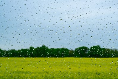 Regen wird es auch in den kommenden Tagen geben. 