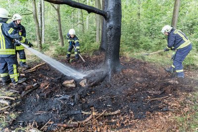 Rund um den Baum war ein Feuer ausgebrochen. 