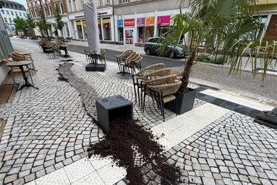 Vandalismus vor dem Eiscafé „Capri“: Unbekannte stehlen eine große Palme und hinterlassen eine Schlammspur auf dem neuen Pflaster. Vorfälle, die immer mehr Werdauer aufregen.