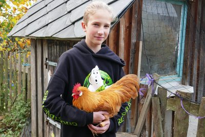 Mit diesem Zwerg-Sachsenhuhn will Kalle Musch bei der Ausstellung viele Punkte von der Jury einheimsen.
