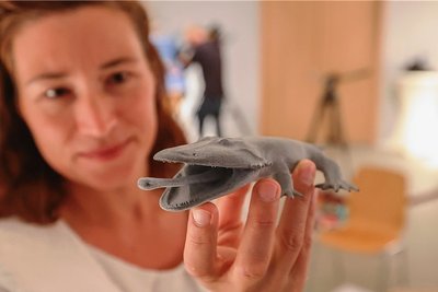 Die stellvertretende Museumsleiterin Thorid Zierold zeigt ein Modell des Lurches, der in Chemnitz gefunden wurde. Das Original-Fossil ist derzeit im Museum zu sehen - aber nur noch für vier Wochen. 
