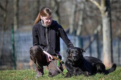Vanessa Haasper vom Tierheim Chemnitz mit Mischlingshund Veit. Er ist am längsten in der Einrichtung. Für ihn wird seit 2016 ein neues Zuhause gesucht. Seine Vorbesitzer waren überfordert. Tierheimleiter Jens von Lienen fordert, dass Deutschland einen Hundeführerschein einführt. 