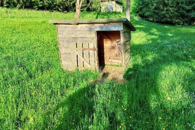 Jetzt ist der kleine Stall auf der Weide neben dem Wohnhaus leer.