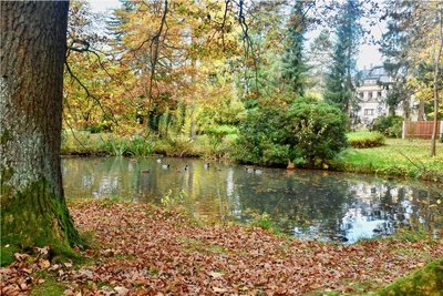 Die Bauarbeiten im Stadtpark Limbach-Oberfrohna werden teurer als gedacht. 