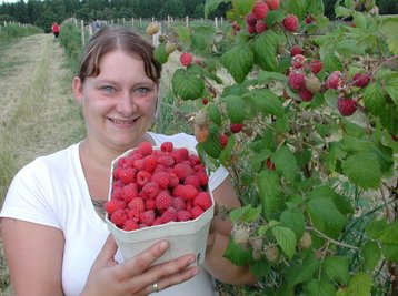 Anja Lange