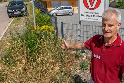 Tierarzt Uwe Müller weist die Stadt Treuen alljährlich aufs Neue auf den Wildwuchs neben seinem Grundstück hin.