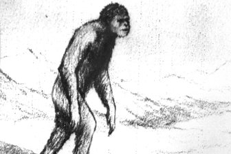 Ab in die Winterferien im Raum Stollberg: Auf der Suche nach dem Yeti - Ein Schneemensch, den der Wissenschaftler A.G. Pronin gezeichnet hat. Er will ihm 1967 begegnet sein. Versteckt sich eventuell heute in Lugau ein Yeti? In den Ferien startet eine Suchaktion.