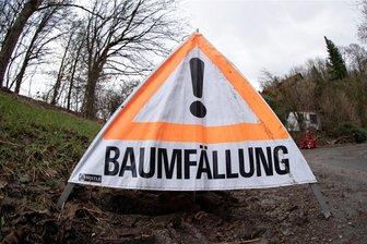 Ab Montag Baumfällungen für B 92-Projekt bei Elsterberg - Auf der B 92 bei Elsterberg gibt es ab Montag wegen Baumfällarbeiten Verkehrseinschränkungen.