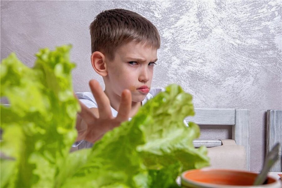 Ab wann sollten Kinder allein entscheiden, was sie essen? - Salat - bloß nicht! 