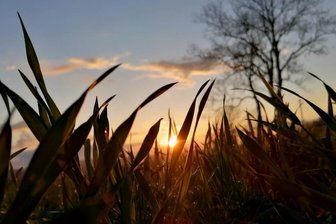 Abendbeginn in warmem Licht - 