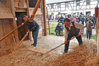 Abenteuer Bauernhof bei Oederan: Dorfmuseum Gahlenz zeigt historische Winterarbeiten - Im Dorfmuseum Gahlenz standen auch im März 2023 Winterarbeiten im Blickpunkt, hier wird Korn gedroschen.