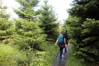 Abenteuertour ins vogtländische Moorgebiet - Wo Moor ist, ist meist auch Wasser. Teilnehmer der Wanderung sollten deshalb an festes Schuhwerk denken.