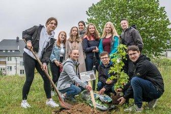 Abiturienten pflanzen Rotbuche - 